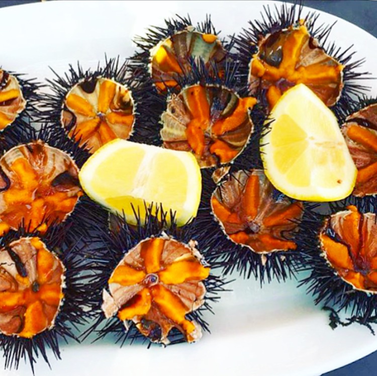 Their fresh sea urchins are a must order!