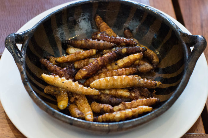 Crispy Worms!