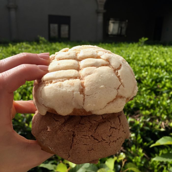 el cardenal conchas mexico