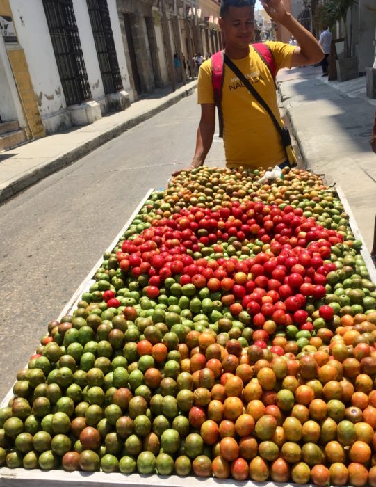 Carts of fresh fruits all over the streets of Cartagena - these are Ciruelas