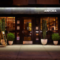 www.anforanyc.com